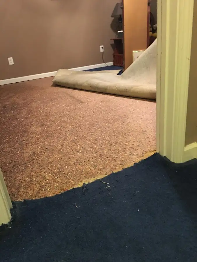 Carpet pad removal revealing water damage during Drying & Dehumidification in Glocester
